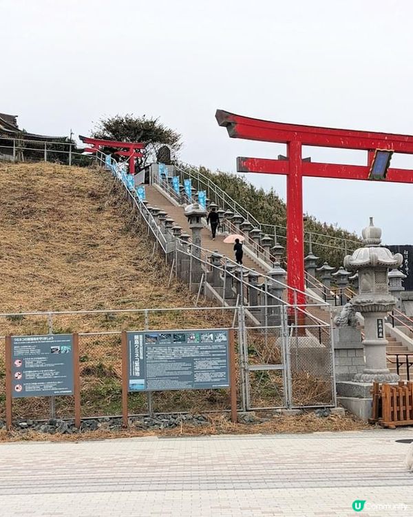 ## 日本神社鳥屎滿天飛 🐦💩