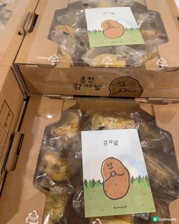 🇰🇷韓國江原道春川旅行必食土豆包