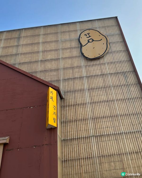 🇰🇷韓國江原道春川旅行必食土豆包