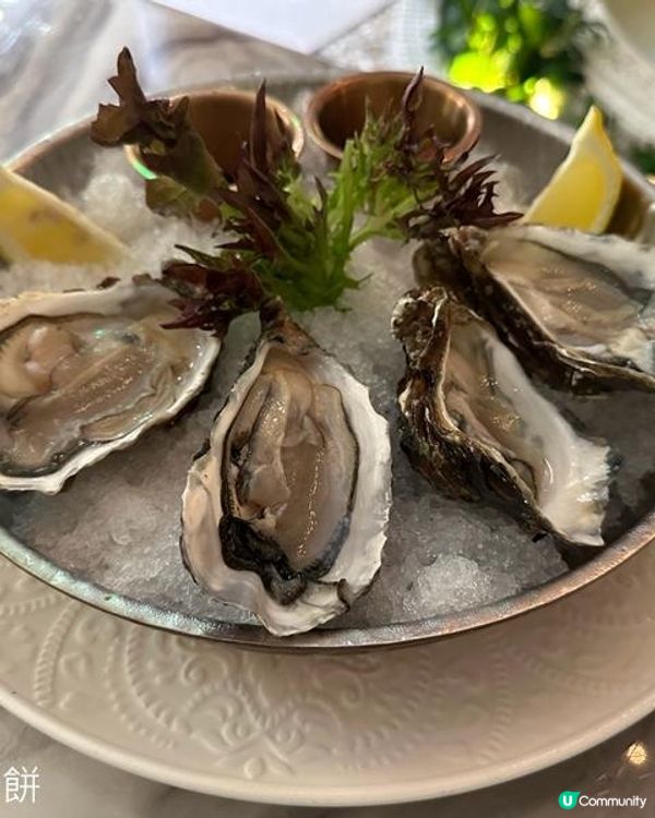 食在銅鑼灣 | ROYAL INN | 推介高質六道菜二人晚餐