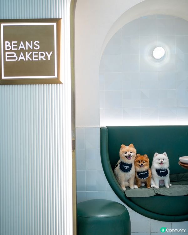 將軍澳室內寵物友善cafe｜性價比極高