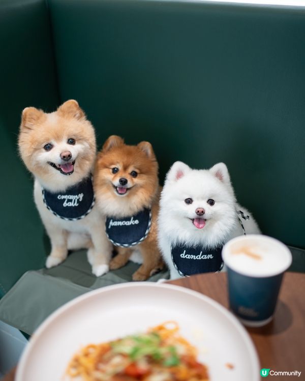 將軍澳室內寵物友善cafe｜性價比極高