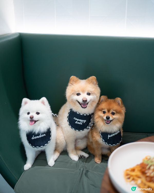 將軍澳室內寵物友善cafe｜性價比極高