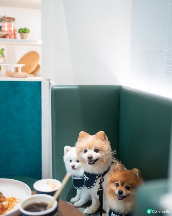 將軍澳室內寵物友善cafe｜性價比極高