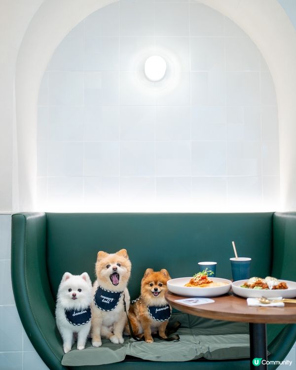 將軍澳室內寵物友善cafe｜性價比極高