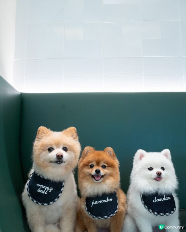 將軍澳室內寵物友善cafe｜性價比極高