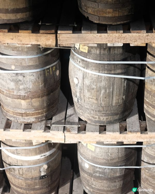 宜蘭一日遊，威士忌酒廠嘆酒🍻