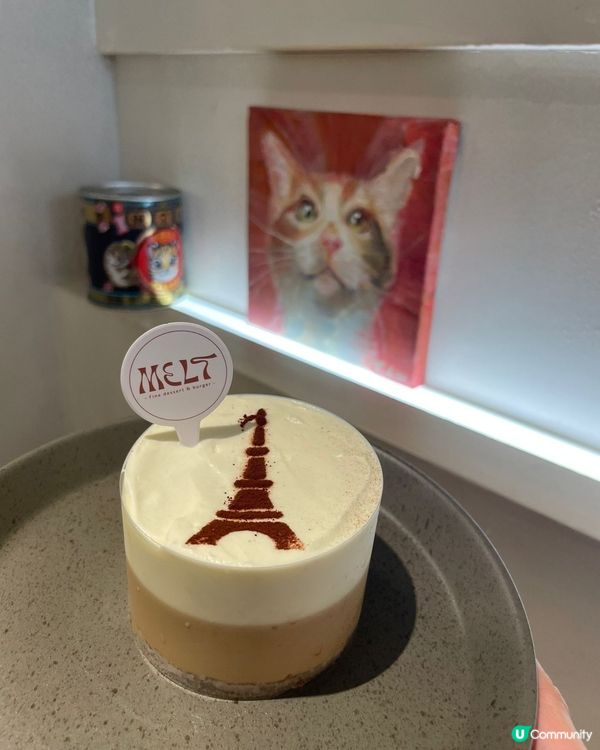 ## 🐱 甜品控天堂！文青貓貓畫展 🍰