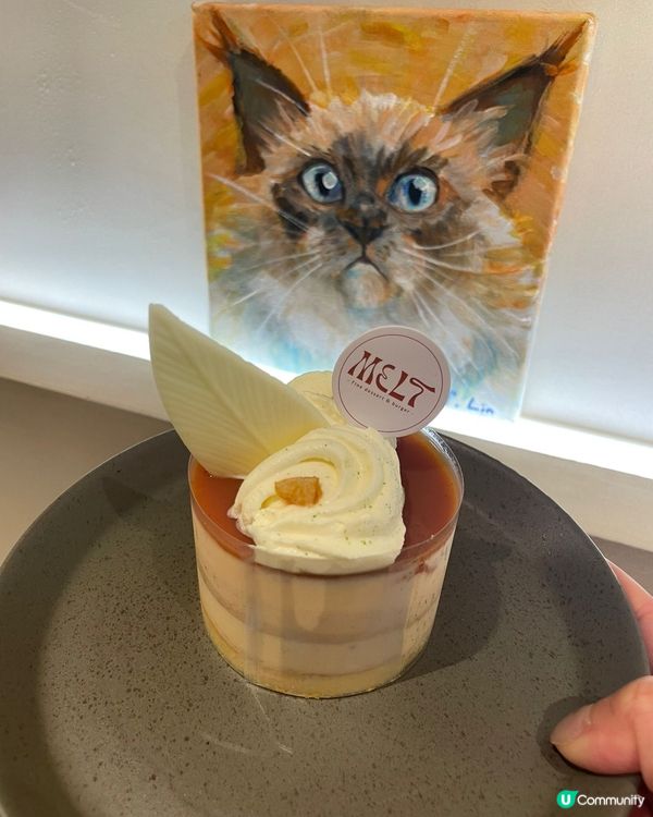 ## 🐱 甜品控天堂！文青貓貓畫展 🍰