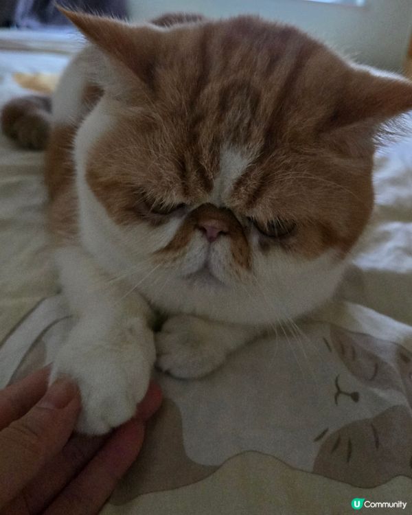 ❤️❤️女友視角❤️❤️