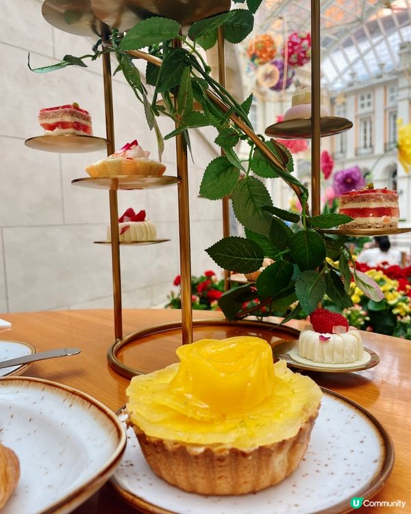 澳門美高梅嘆下午茶 🍰☕️ 超高CP值！