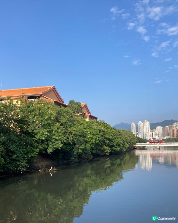 星期五推介文化博物館黃霑先生的展覽