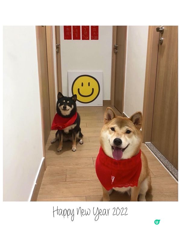 📎 2022年環保♻️之作