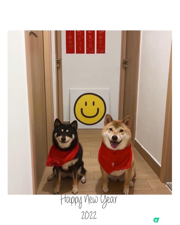 📎 2022年環保♻️之作