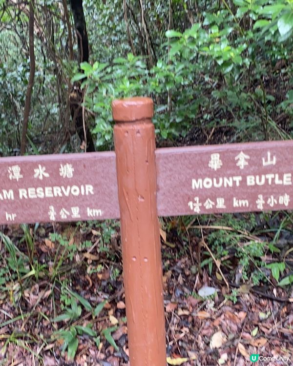 大潭郊野公園 行山遊