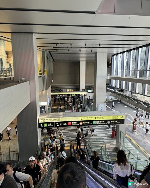 東京遊記の東京鐵塔渋谷瞭望台