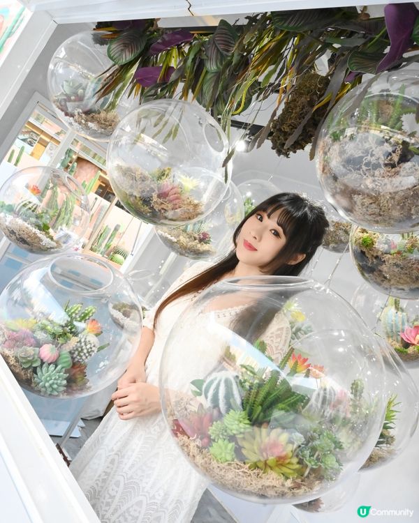 仙人掌綠植園