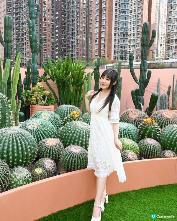 仙人掌綠植園
