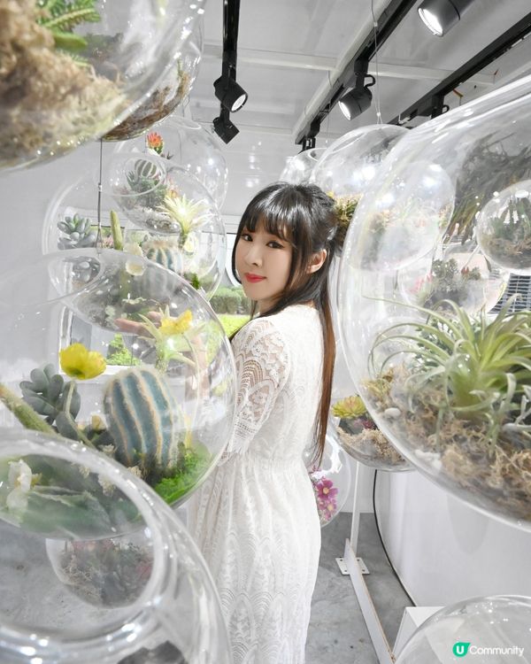 仙人掌綠植園