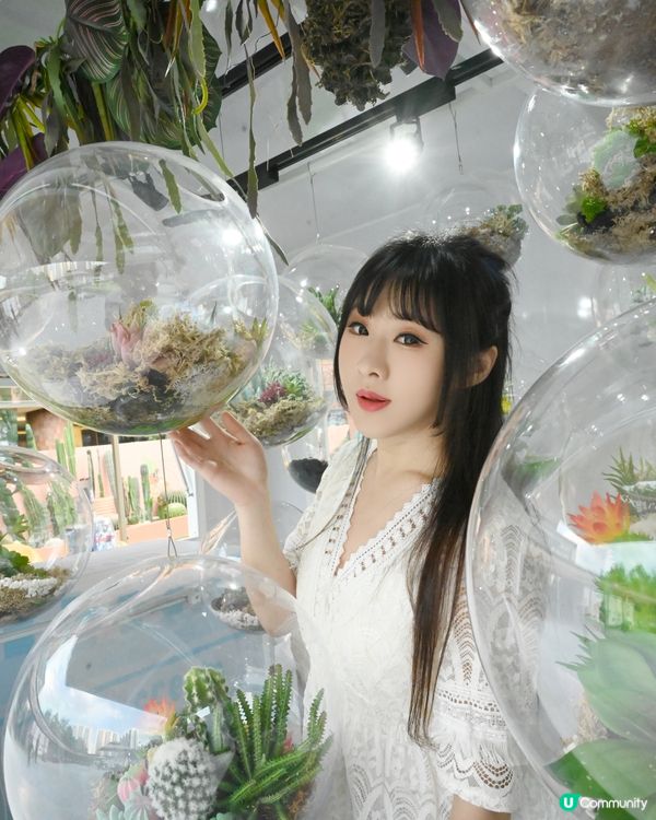 仙人掌綠植園