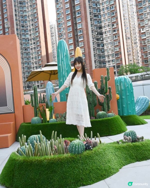 仙人掌綠植園