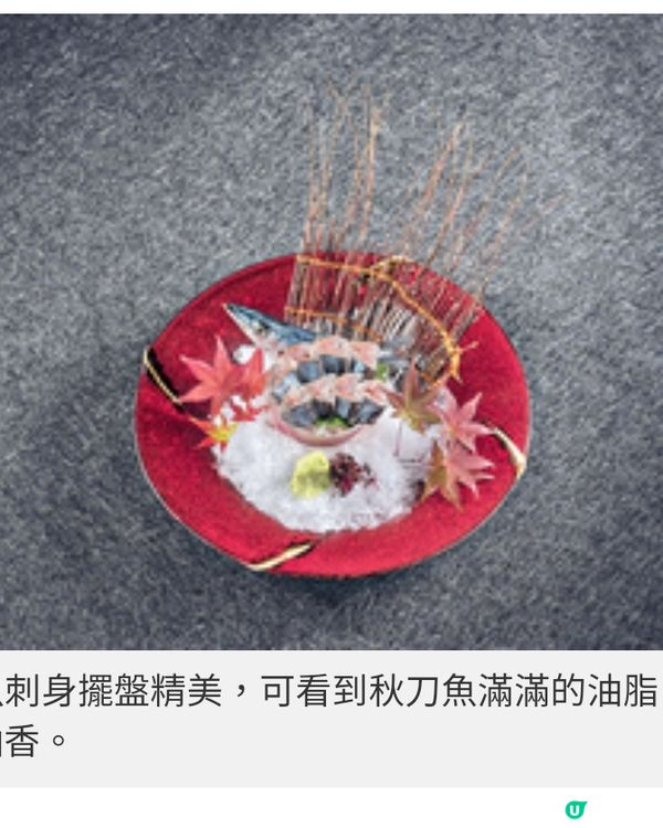四季菊入秋之選秋刀魚刺身啖啖 魚油甘香