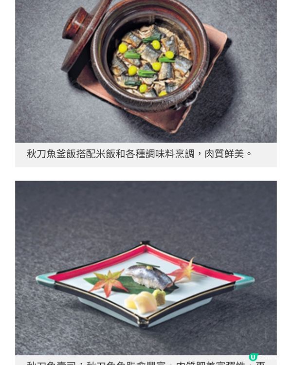 四季菊入秋之選秋刀魚刺身啖啖 魚油甘香