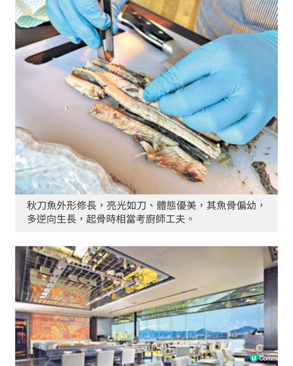 四季菊入秋之選秋刀魚刺身啖啖 魚油甘香