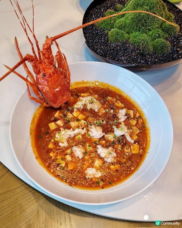 《環迴深圳》菜色頂級 X 毫不賣弄 @ 萬豪中菜廳 ( 深圳中洲萬豪酒店 )