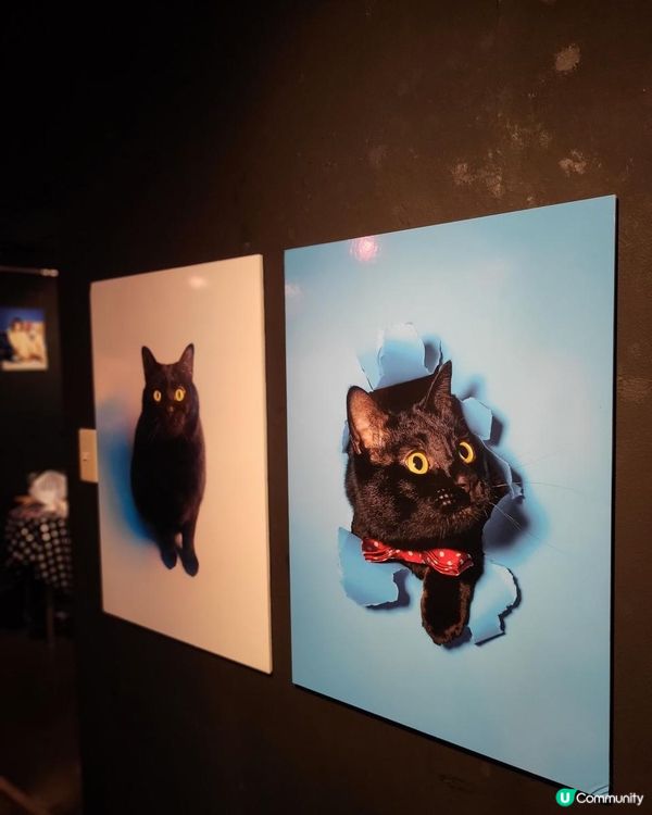 🇯🇵東京原宿| 文青必去藝術空間