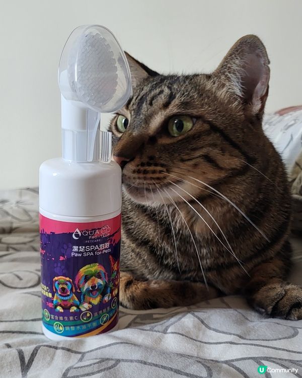 AQUA PRO+TECH PETCARE腳掌潔護SPA泡泡