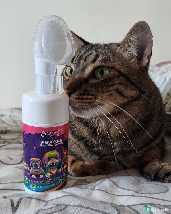 AQUA PRO+TECH PETCARE腳掌潔護SPA泡泡
