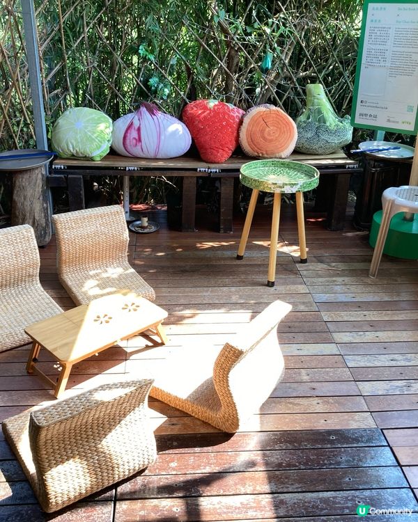 錦田比比書屋，放鬆身心好去處 😌📚