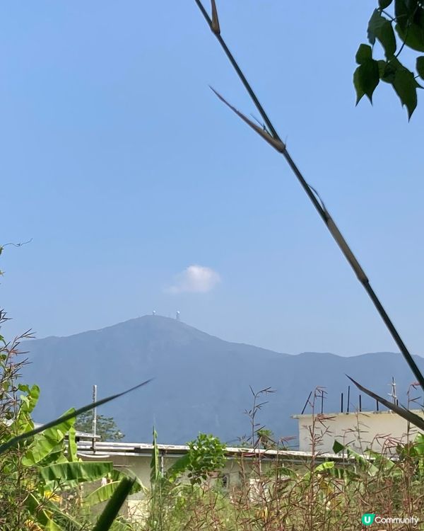 錦田比比書屋，放鬆身心好去處 😌📚