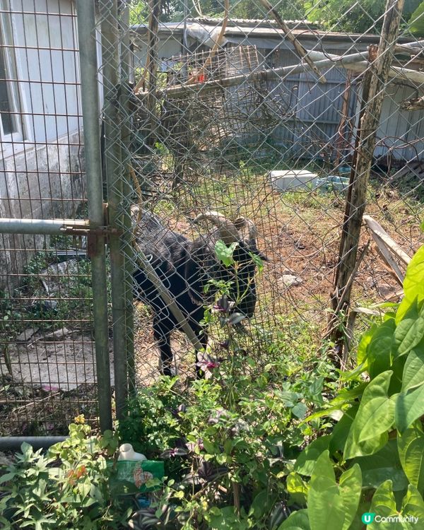 錦田比比書屋，放鬆身心好去處 😌📚