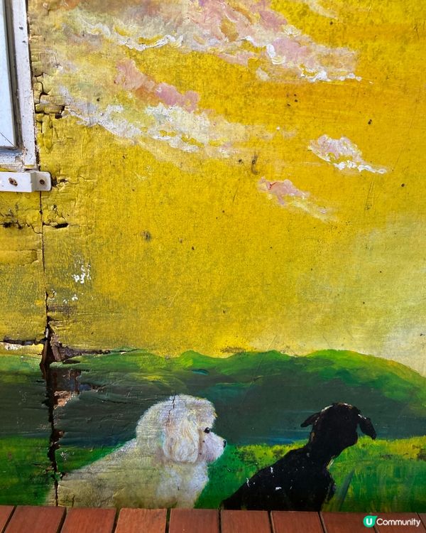 錦田比比書屋，放鬆身心好去處 😌📚