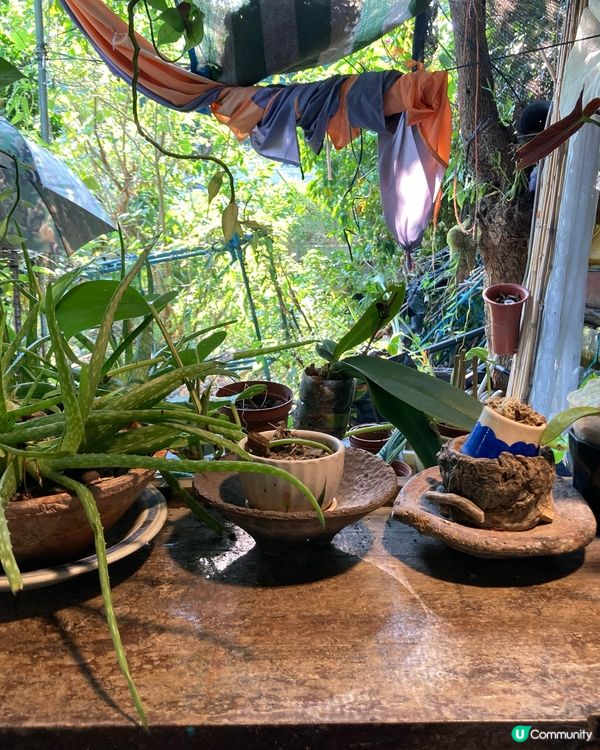 錦田比比書屋，放鬆身心好去處 😌📚