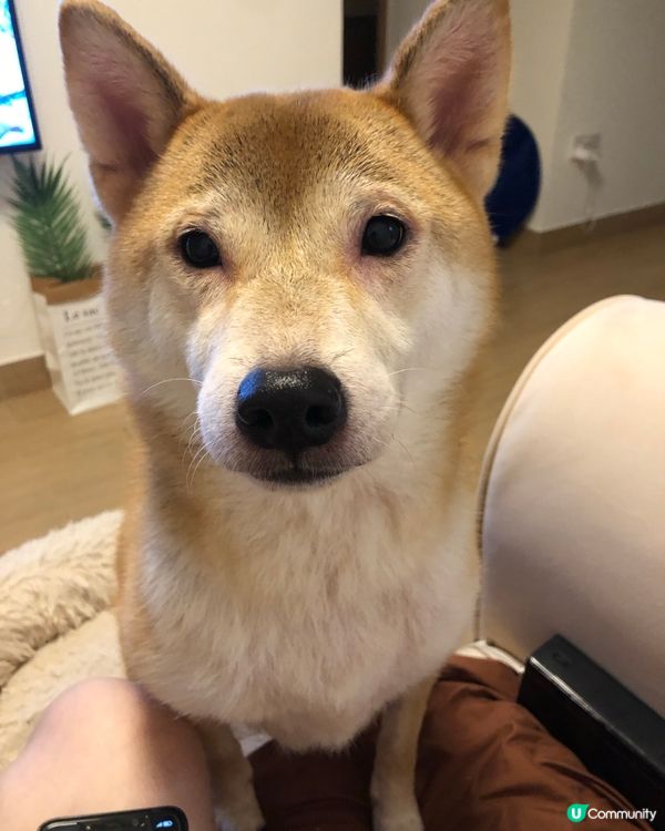 📎 我對眼究竟發生咩事 邊個可以救下我⁉️