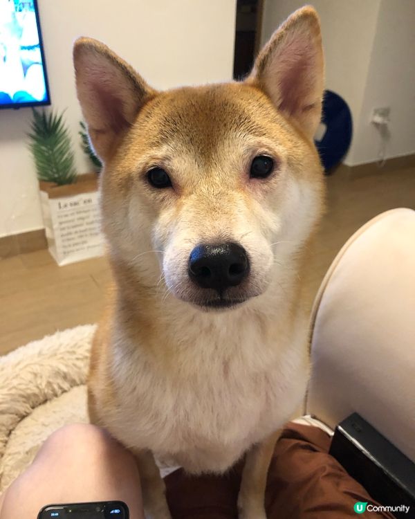 📎 我對眼究竟發生咩事 邊個可以救下我⁉️