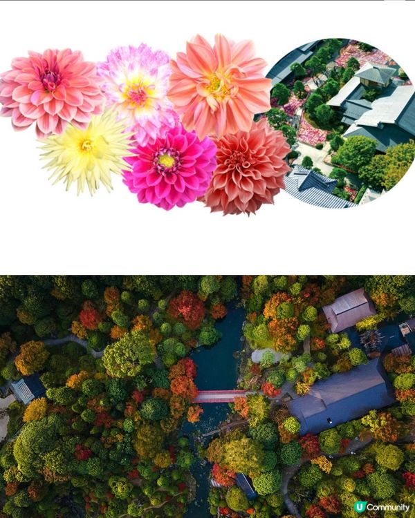 <一文介紹>靚到揼一聲既由志園3大期間限定活動❤️‍🔥