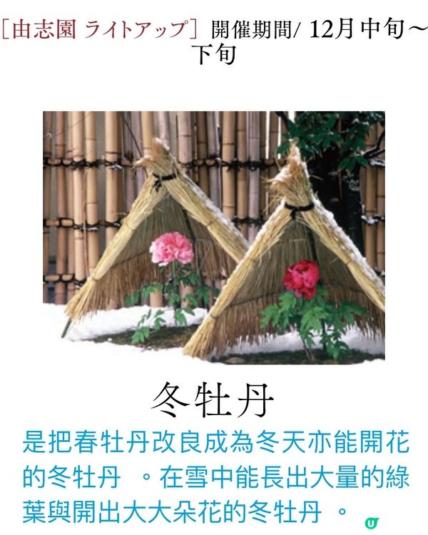 <一文介紹>靚到揼一聲既由志園3大期間限定活動❤️‍🔥