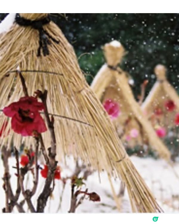 <一文介紹>靚到揼一聲既由志園3大期間限定活動❤️‍🔥