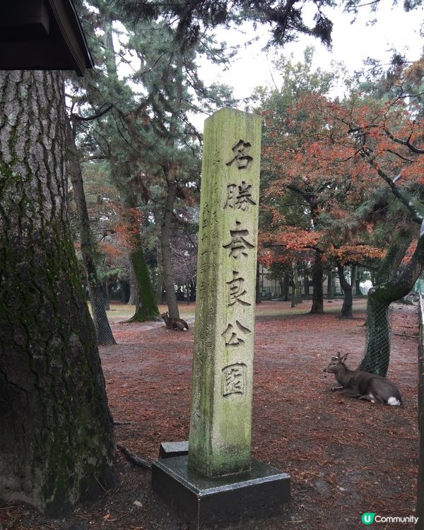 日本奈良公園