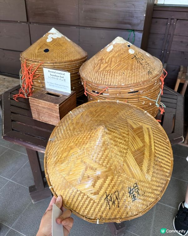 🇯🇵福岡柳川遊船仔+必食蒸籠鰻魚飯🍱