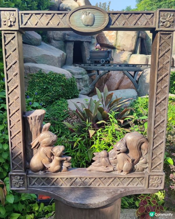 迪士尼由朝玩到黑