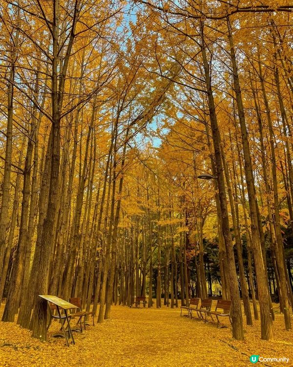 首爾秋季賞紅葉必去七大景點😍😍😍