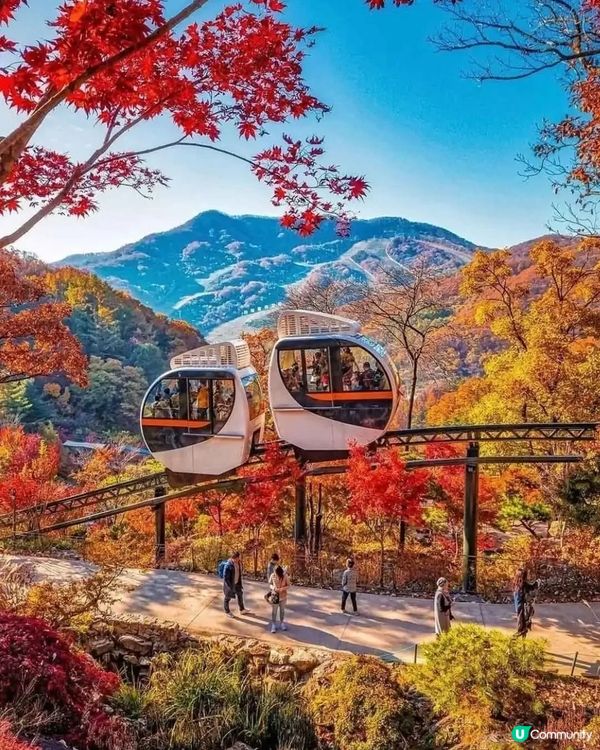 首爾秋季賞紅葉必去七大景點😍😍😍