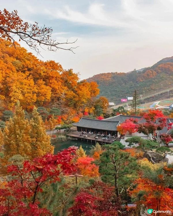 首爾秋季賞紅葉必去七大景點😍😍😍