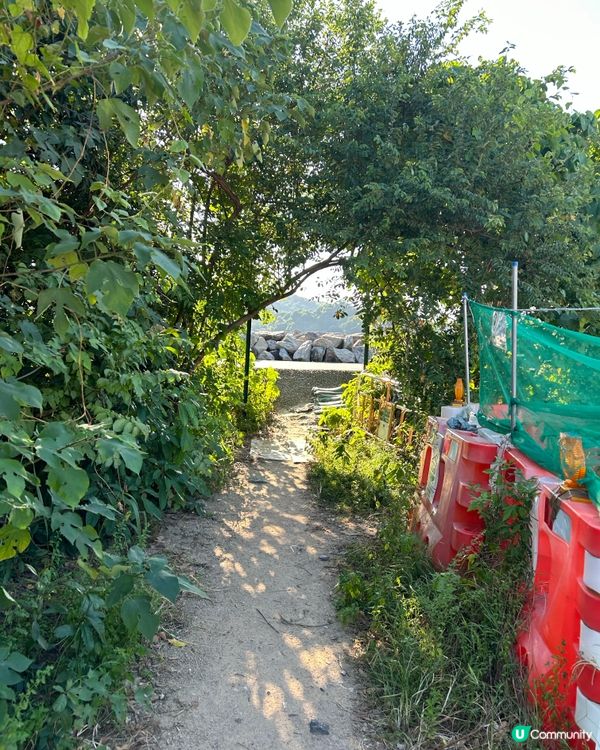 欣澳海岸｜美景打卡 簡易路線｜一個多小時親子郊遊