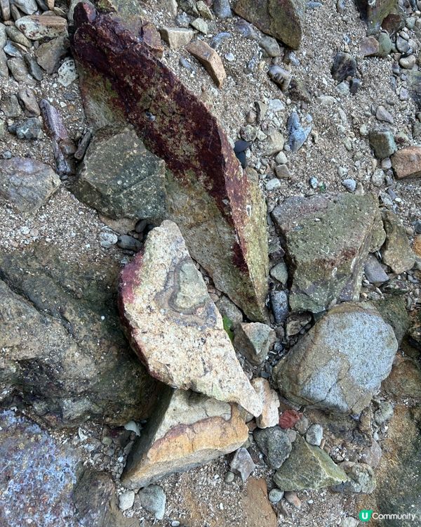 欣澳海岸｜美景打卡 簡易路線｜一個多小時親子郊遊